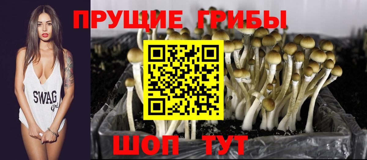 Острогожск  Галлюциногенные грибы Magic Shrooms  Вход с VPN 
